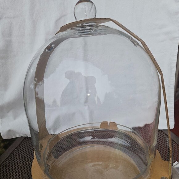 Large 12" Syndicate Home and Garden Glass Terrarium/Cloche W/Bottom Plate - Picture 4 of 9